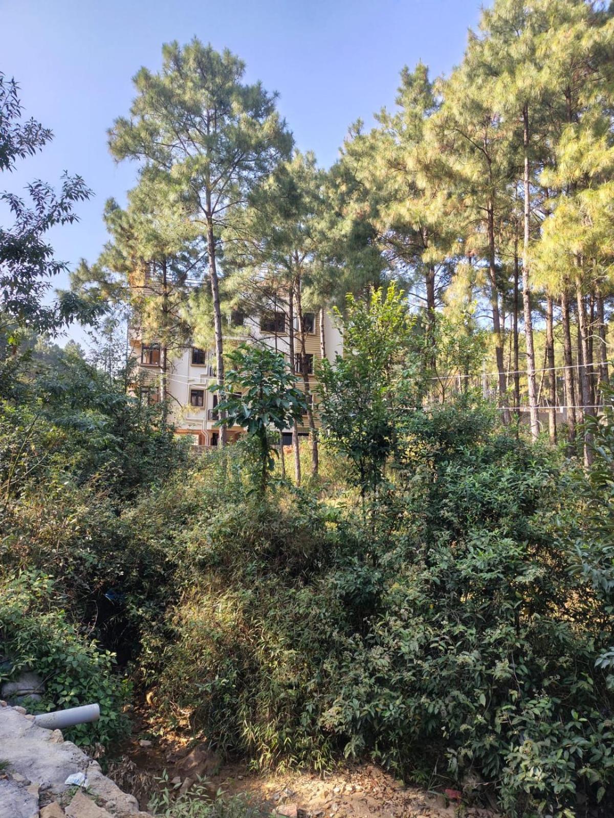 Xtsy Travellers Hostel Shillong Exterior photo