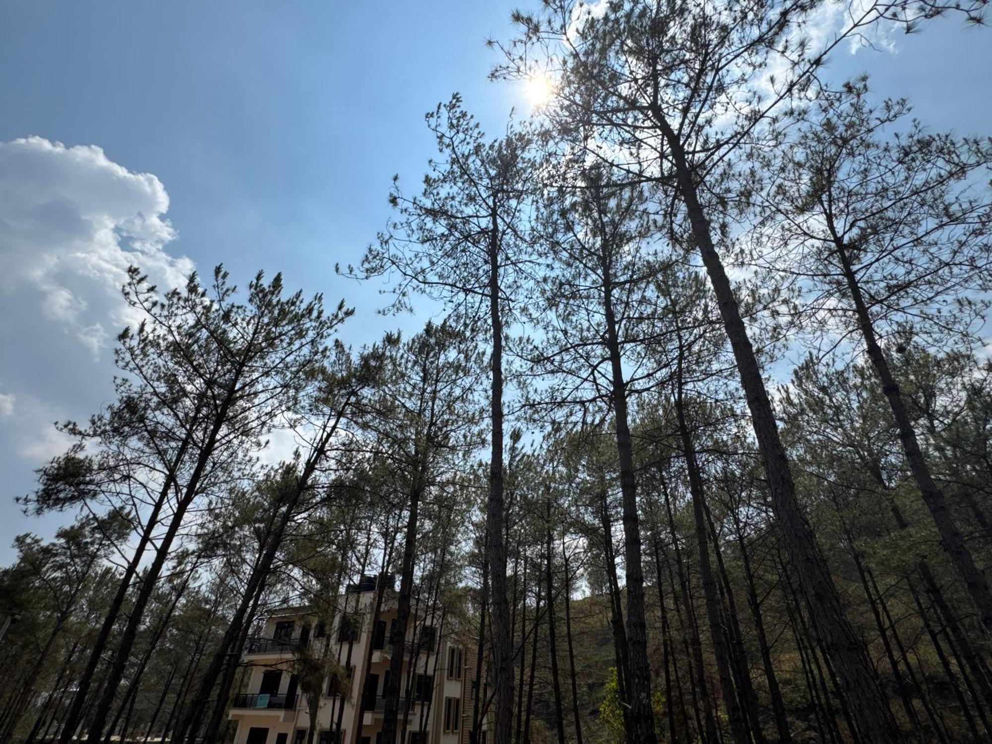 Xtsy Travellers Hostel Shillong Exterior photo
