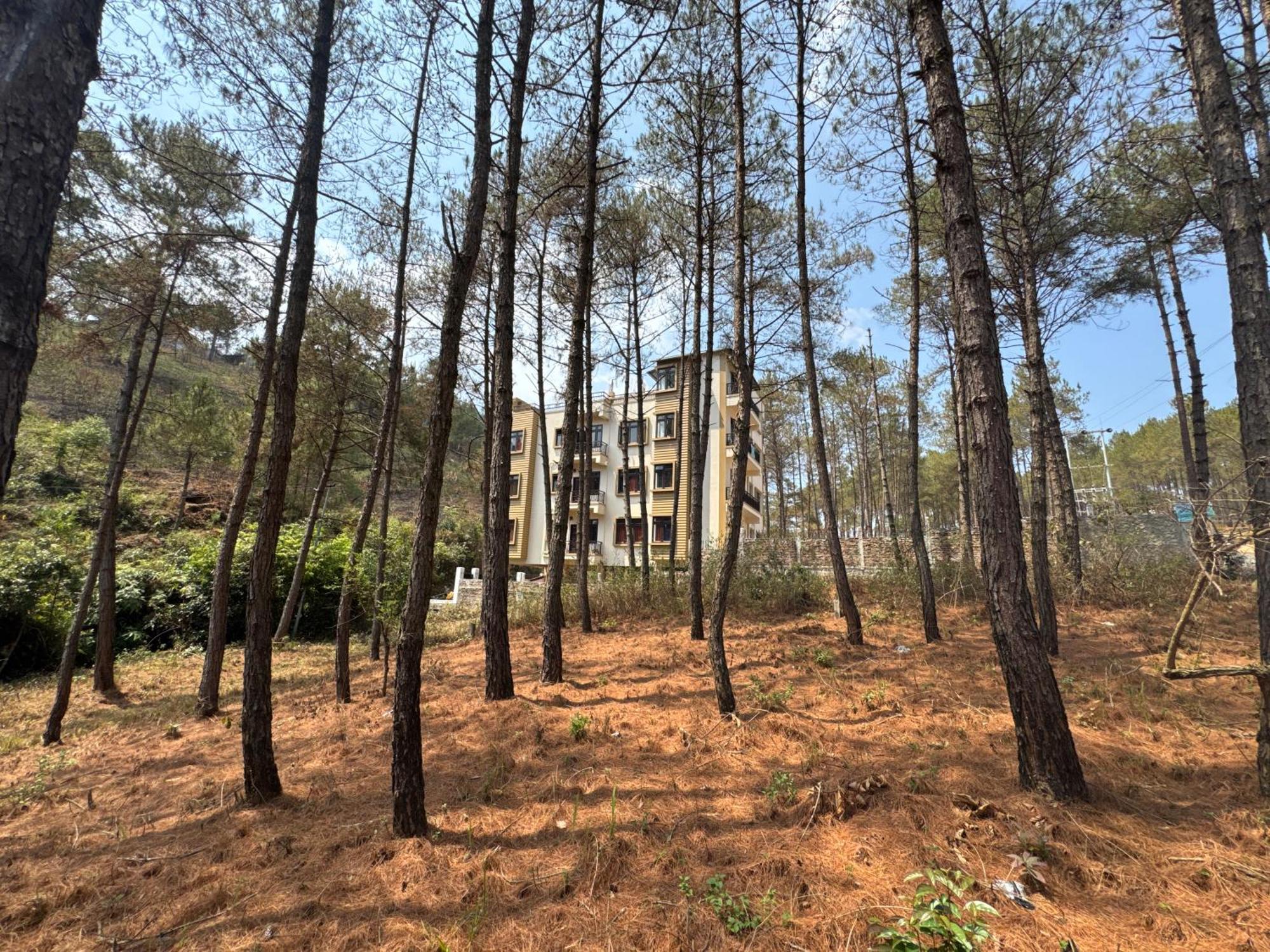 Xtsy Travellers Hostel Shillong Exterior photo